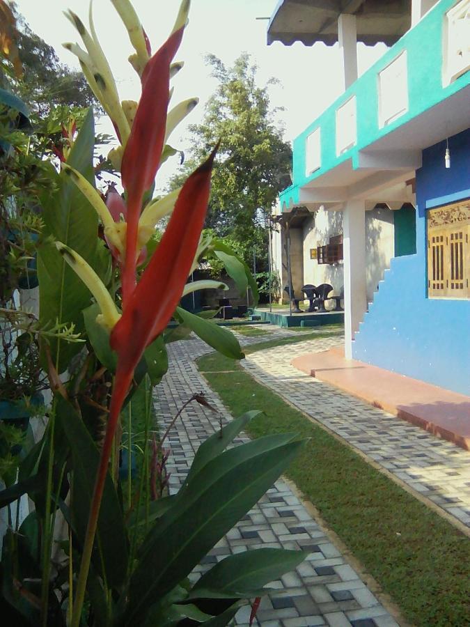 Thomasha Homestay ويلاوايا المظهر الخارجي الصورة