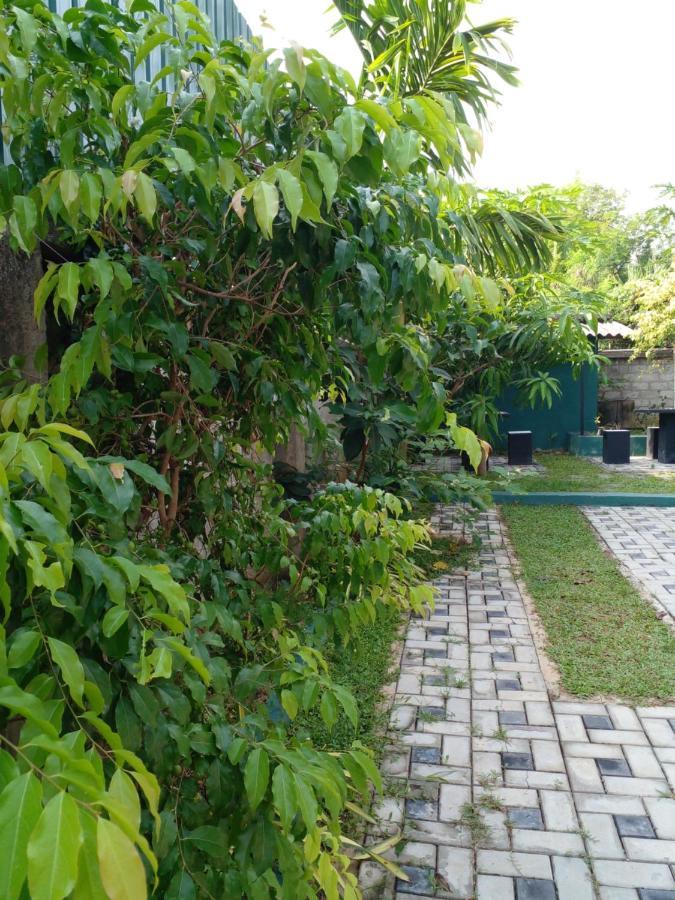 Thomasha Homestay ويلاوايا المظهر الخارجي الصورة